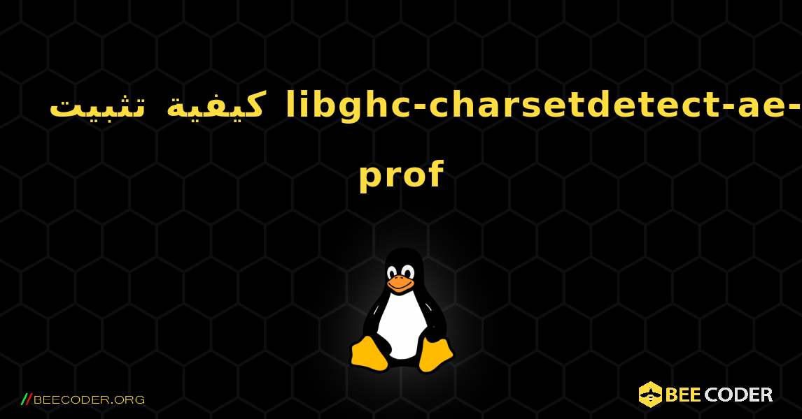 كيفية تثبيت libghc-charsetdetect-ae-prof . Linux