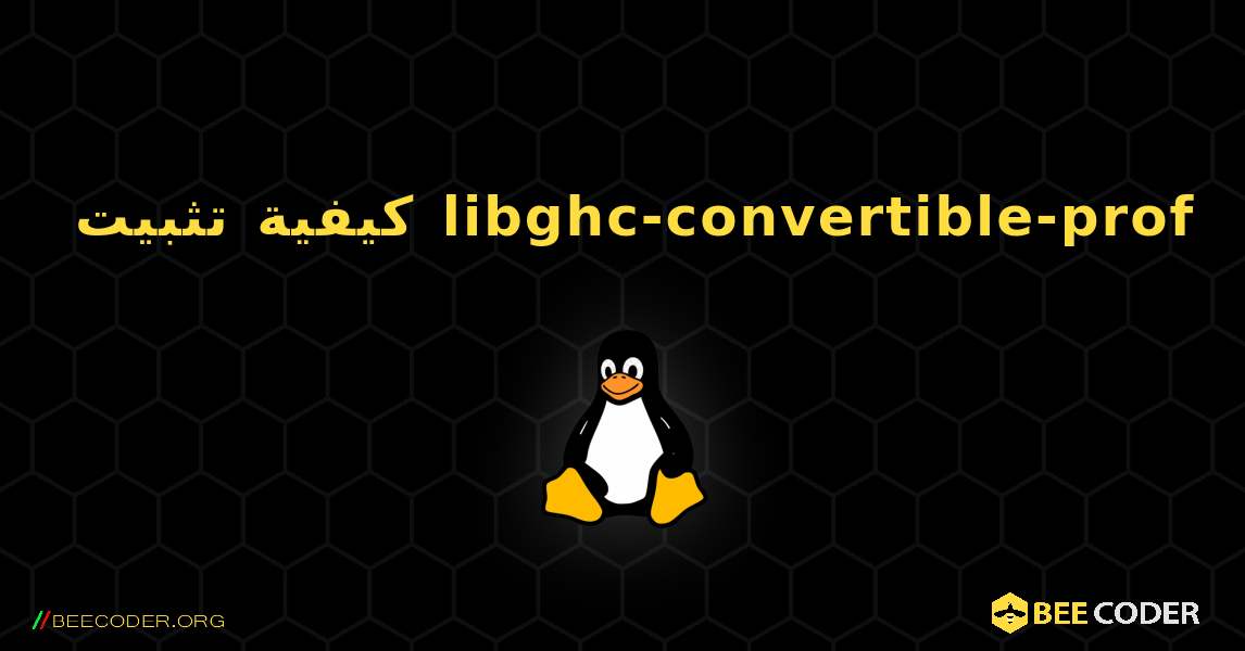 كيفية تثبيت libghc-convertible-prof . Linux