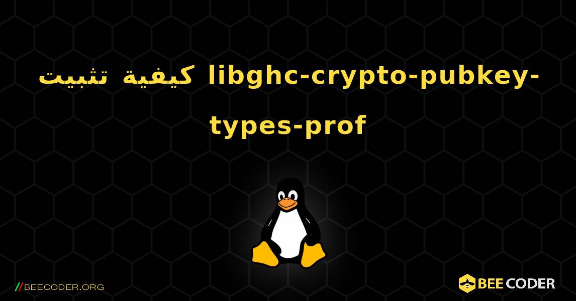 كيفية تثبيت libghc-crypto-pubkey-types-prof . Linux