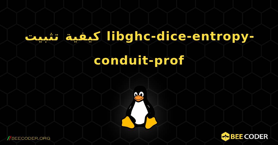 كيفية تثبيت libghc-dice-entropy-conduit-prof . Linux