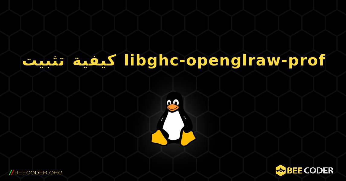 كيفية تثبيت libghc-openglraw-prof . Linux