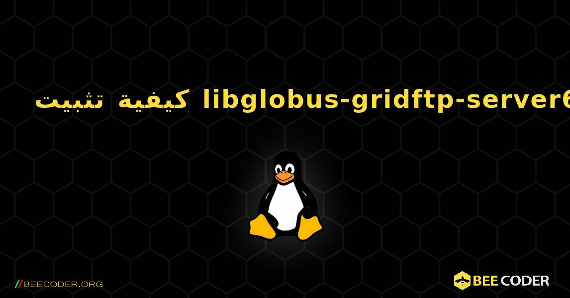 كيفية تثبيت libglobus-gridftp-server6 . Linux