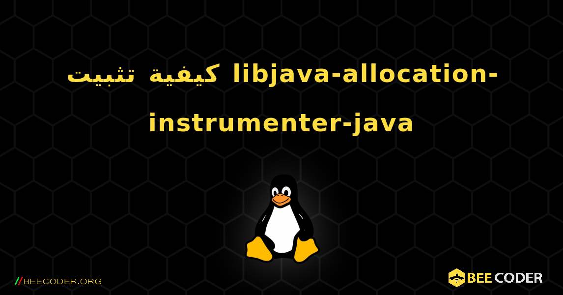 كيفية تثبيت libjava-allocation-instrumenter-java . Linux