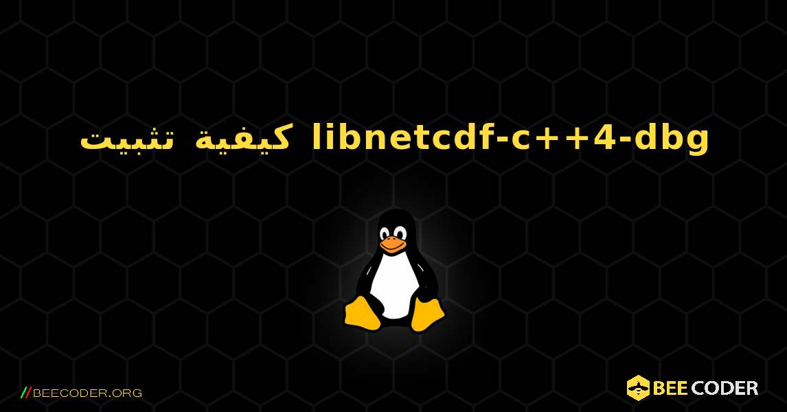 كيفية تثبيت libnetcdf-c++4-dbg . Linux
