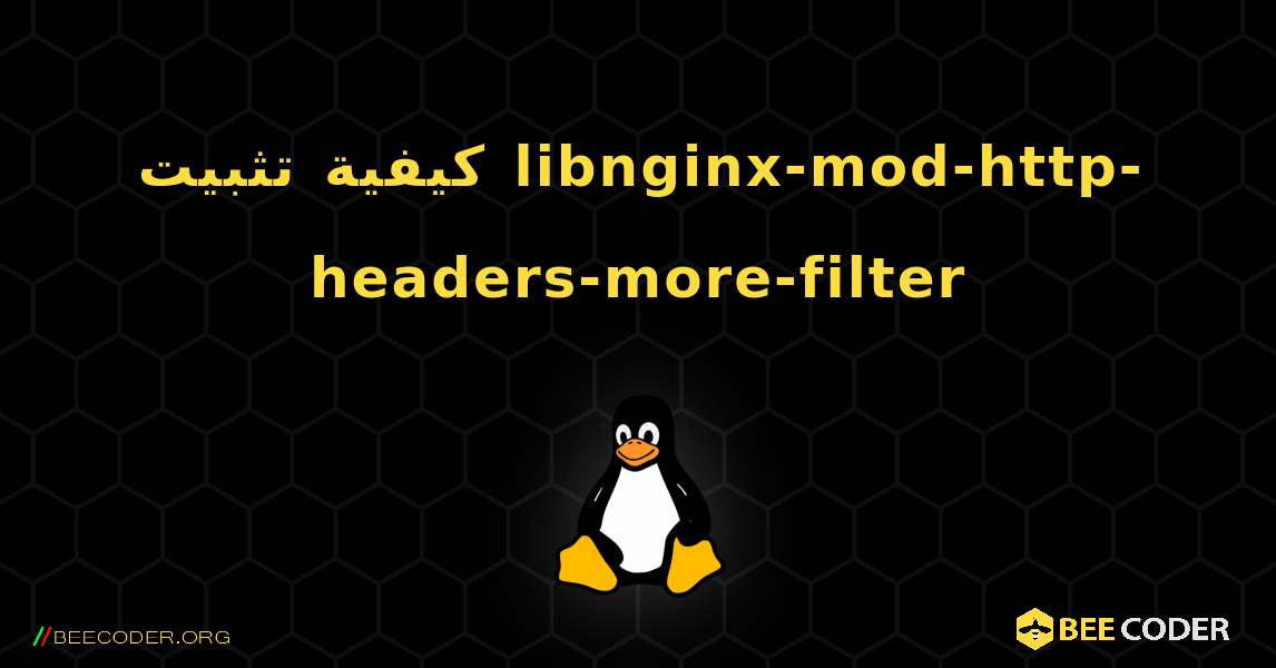 كيفية تثبيت libnginx-mod-http-headers-more-filter . Linux