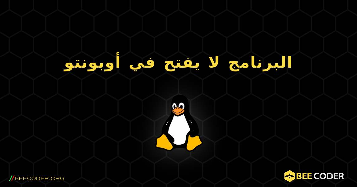 البرنامج لا يفتح في أوبونتو. Linux