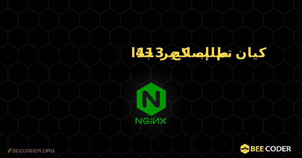 تم إصلاح 413 كيان طلب كبير جدًا. NGINX