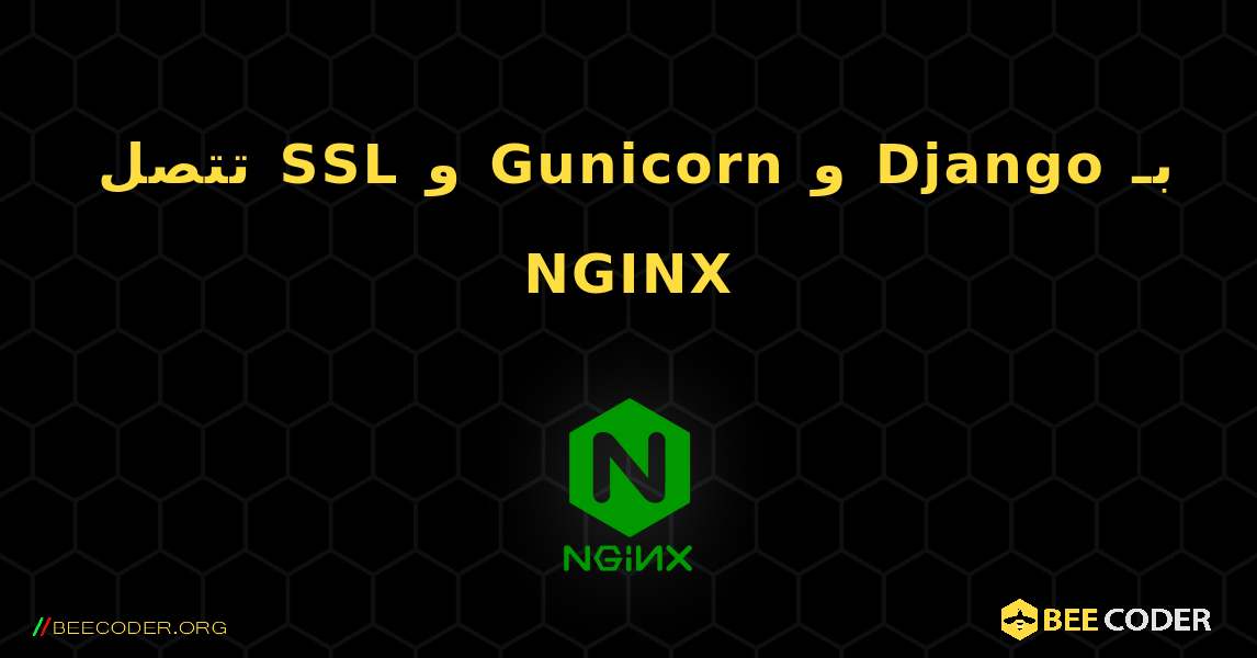 تتصل SSL و Gunicorn و Django بـ NGINX. NGINX