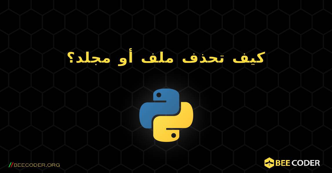 كيف تحذف ملف أو مجلد؟. Python