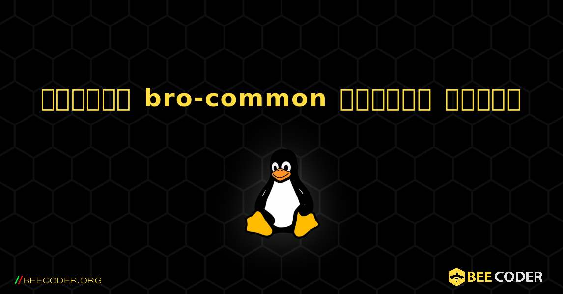 কিভাবে bro-common  ইনস্টল করবেন. Linux