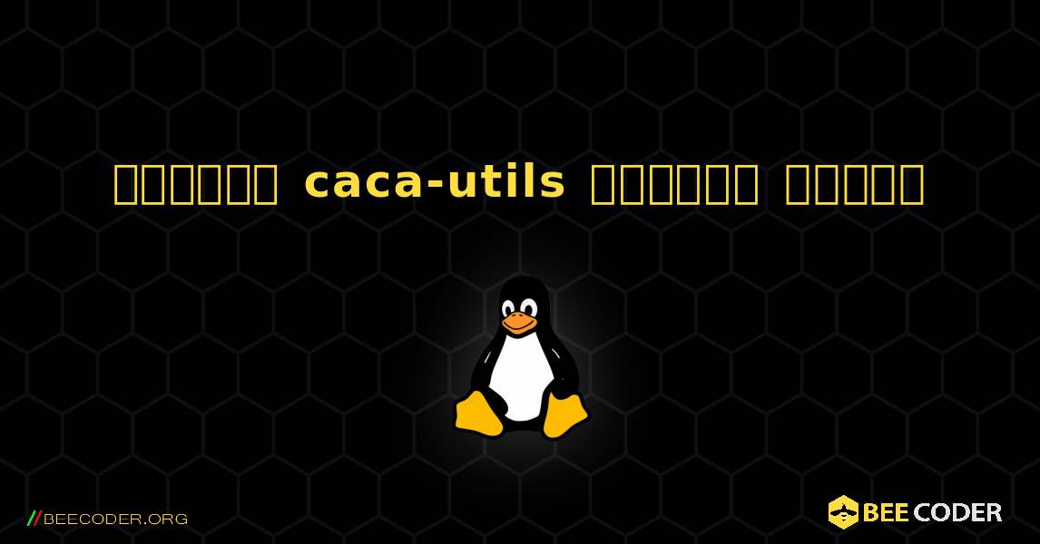 কিভাবে caca-utils  ইনস্টল করবেন. Linux