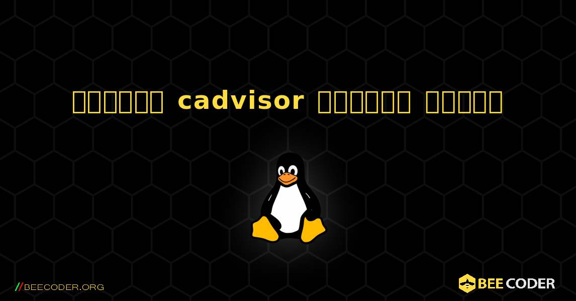 কিভাবে cadvisor  ইনস্টল করবেন. Linux