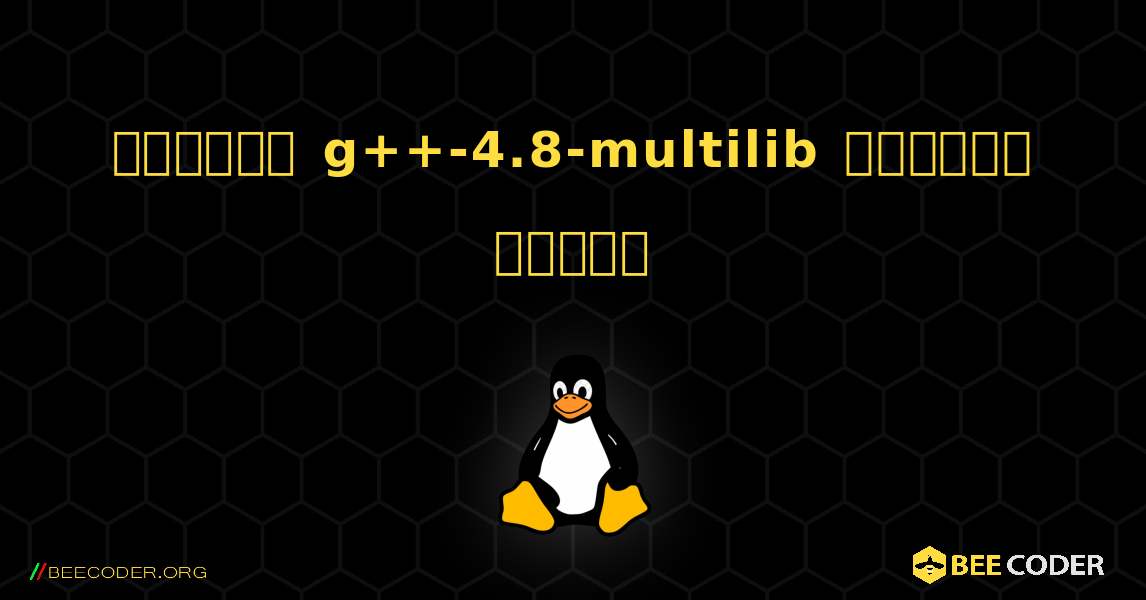 কিভাবে g++-4.8-multilib  ইনস্টল করবেন. Linux