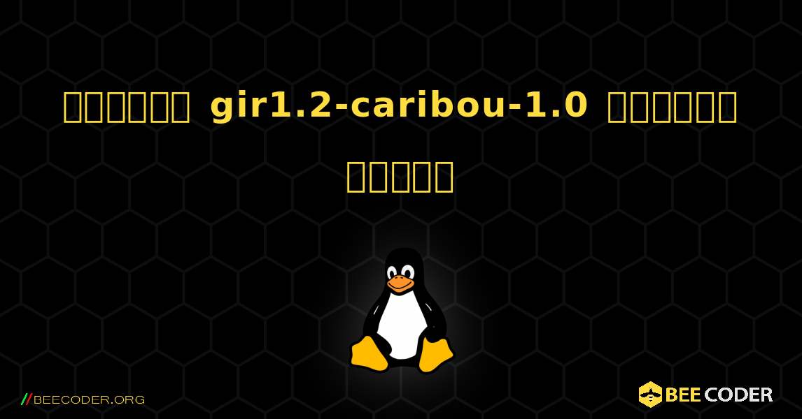কিভাবে gir1.2-caribou-1.0  ইনস্টল করবেন. Linux
