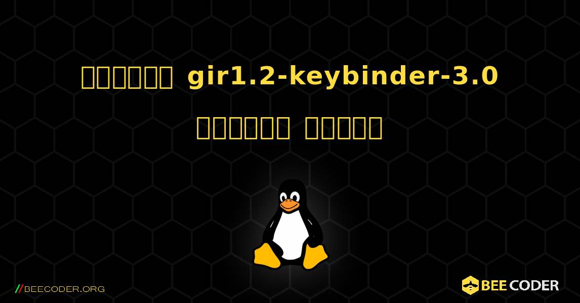 কিভাবে gir1.2-keybinder-3.0  ইনস্টল করবেন. Linux