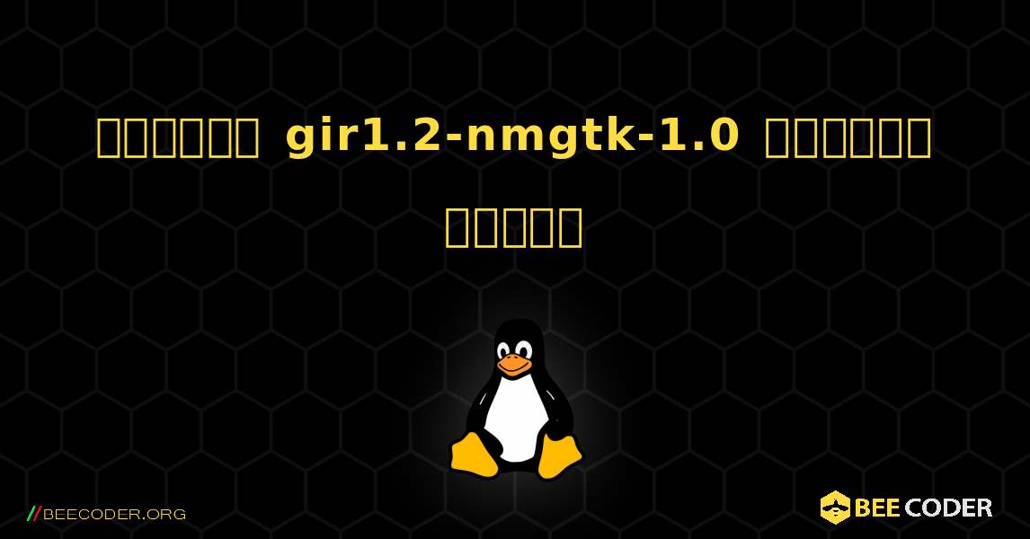 কিভাবে gir1.2-nmgtk-1.0  ইনস্টল করবেন. Linux