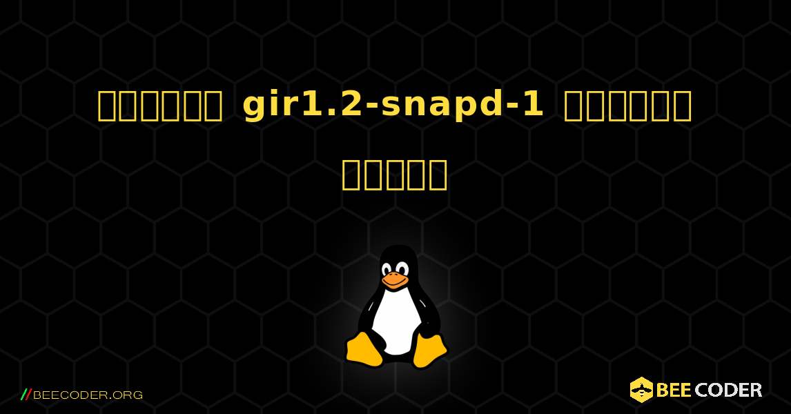 কিভাবে gir1.2-snapd-1  ইনস্টল করবেন. Linux