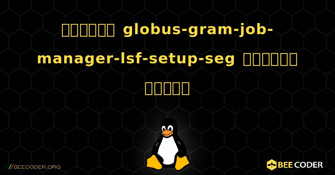 কিভাবে globus-gram-job-manager-lsf-setup-seg  ইনস্টল করবেন. Linux