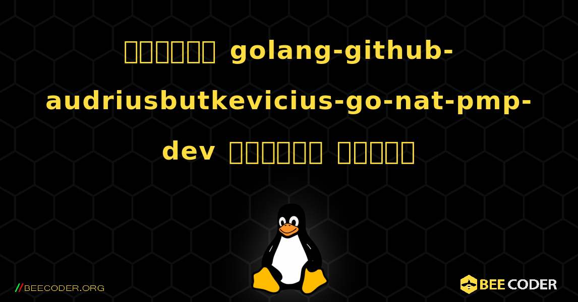 কিভাবে golang-github-audriusbutkevicius-go-nat-pmp-dev  ইনস্টল করবেন. Linux