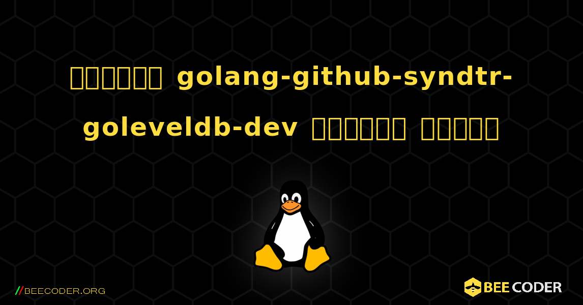কিভাবে golang-github-syndtr-goleveldb-dev  ইনস্টল করবেন. Linux