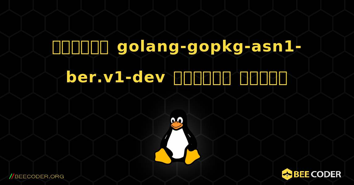 কিভাবে golang-gopkg-asn1-ber.v1-dev  ইনস্টল করবেন. Linux
