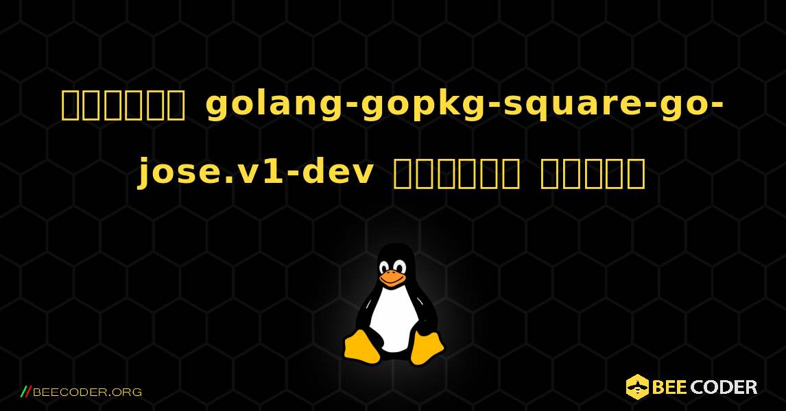 কিভাবে golang-gopkg-square-go-jose.v1-dev  ইনস্টল করবেন. Linux