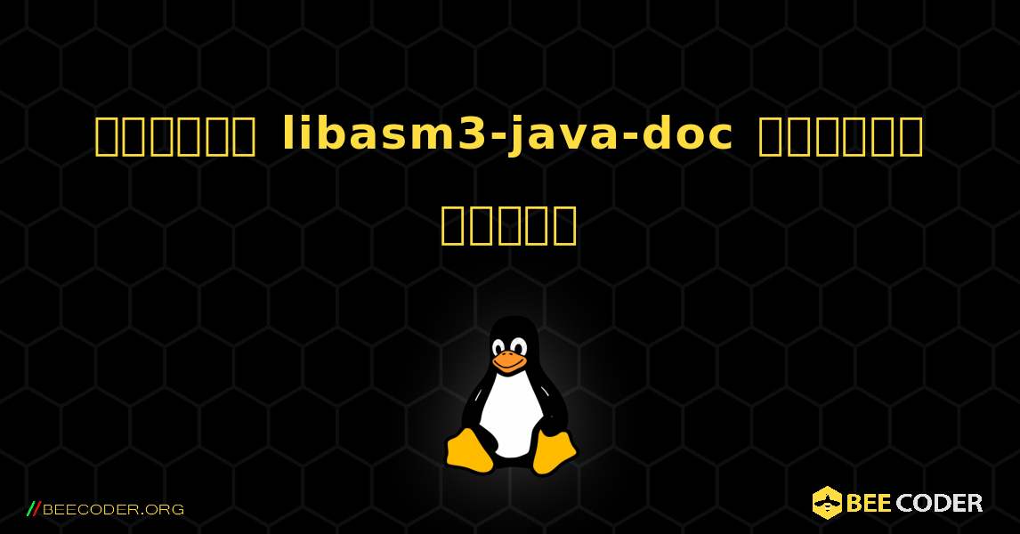 কিভাবে libasm3-java-doc  ইনস্টল করবেন. Linux