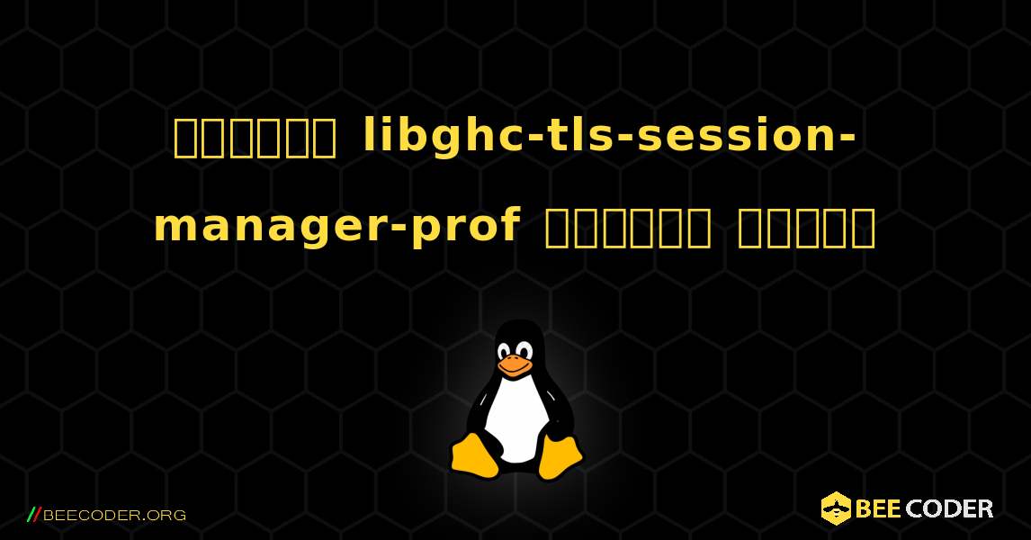 কিভাবে libghc-tls-session-manager-prof  ইনস্টল করবেন. Linux