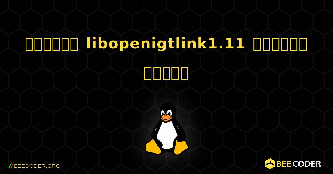 কিভাবে libopenigtlink1.11  ইনস্টল করবেন. Linux