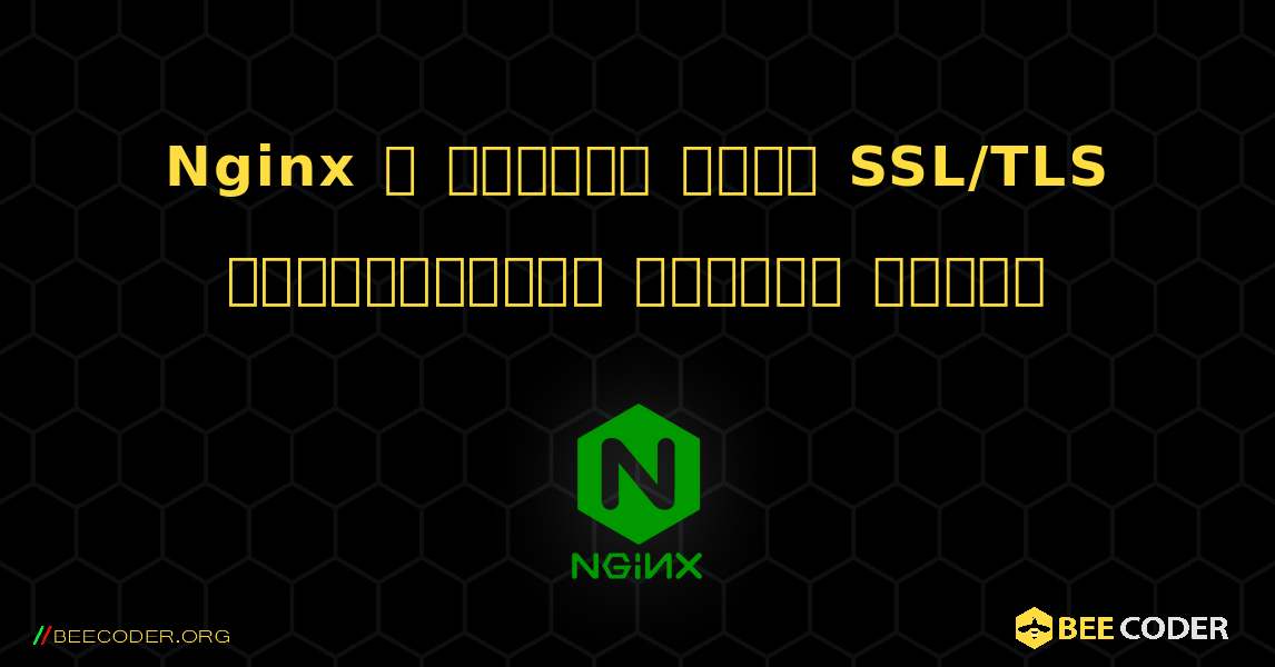 Nginx এ কিভাবে একটি SSL/TLS সার্টিফিকেট ইনস্টল করবেন. NGINX