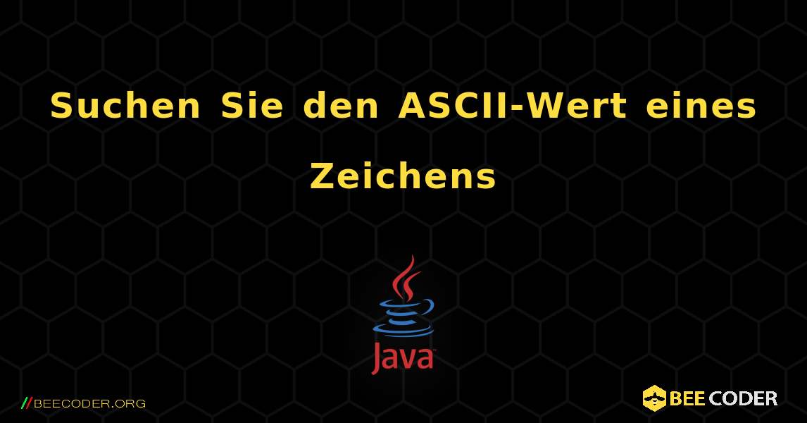 Suchen Sie den ASCII-Wert eines Zeichens. Java