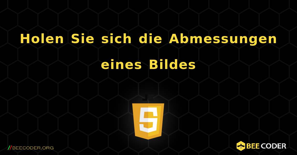 Holen Sie sich die Abmessungen eines Bildes. JavaScript