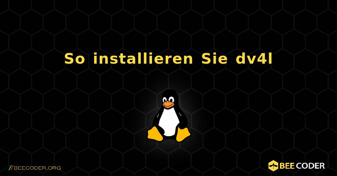 So installieren Sie dv4l . Linux