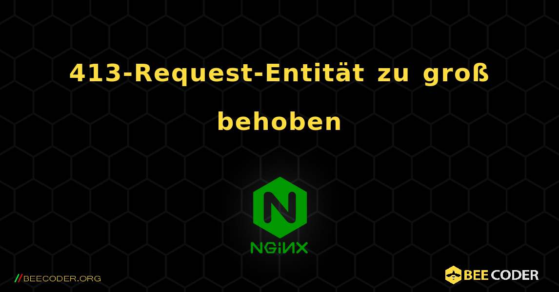 413-Request-Entität zu groß behoben. NGINX