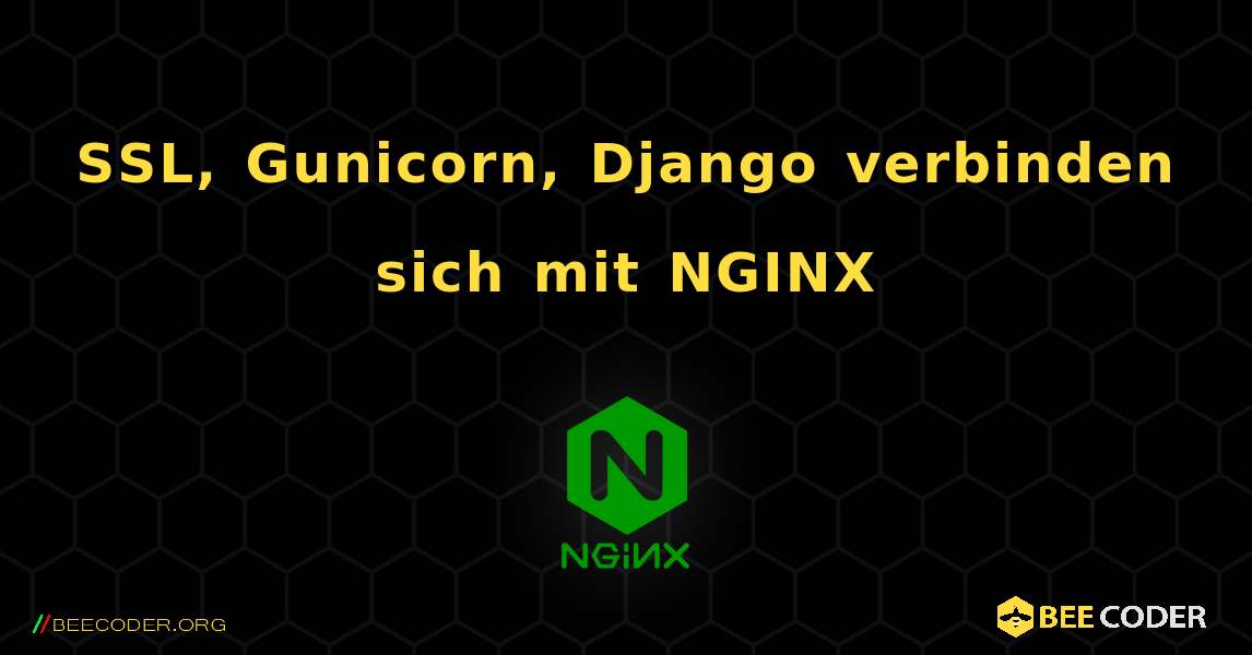 SSL, Gunicorn, Django verbinden sich mit NGINX. NGINX