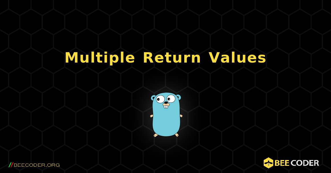 Multiple Return Values. GoLang