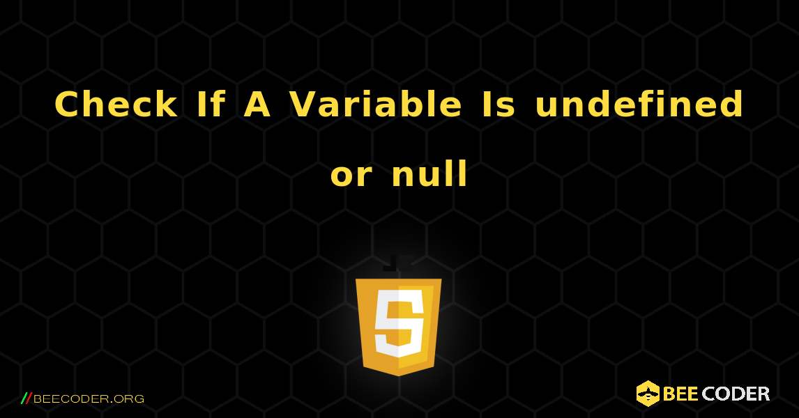 Check If A Variable Is undefined or null. JavaScript