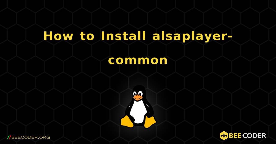 How to Install alsaplayer-common . Linux