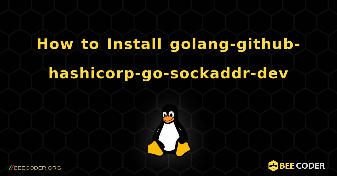 How to Install golang-github-hashicorp-go-sockaddr-dev . Linux