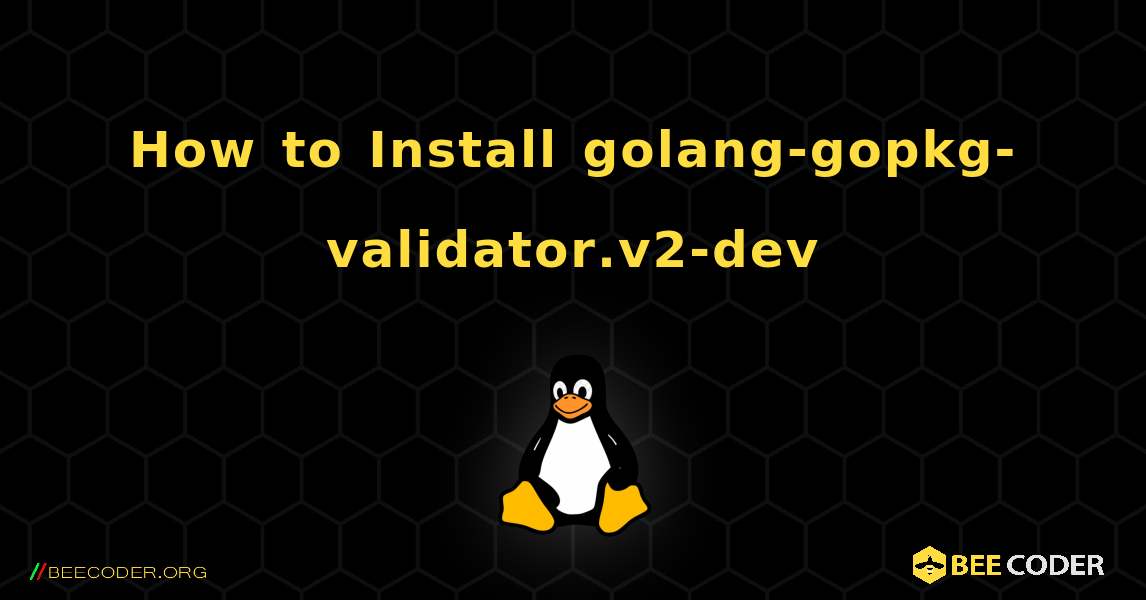 How to Install golang-gopkg-validator.v2-dev . Linux