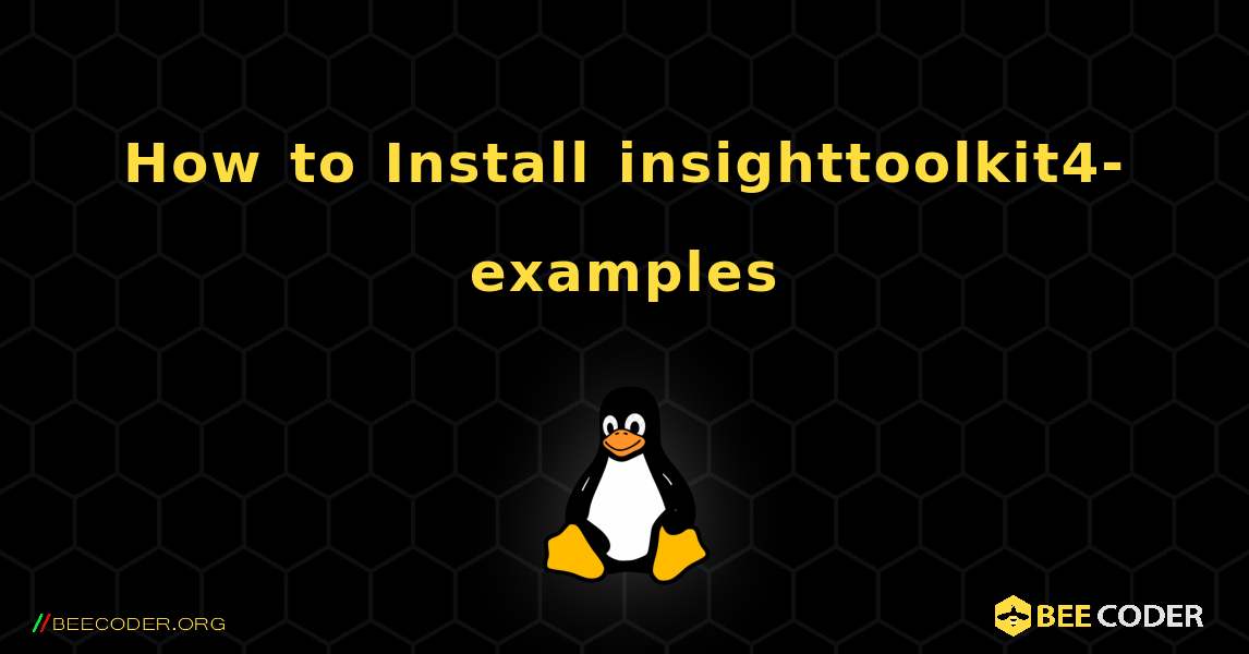 How to Install insighttoolkit4-examples . Linux