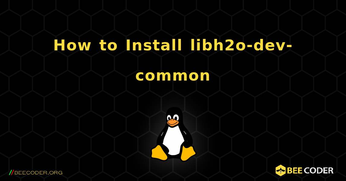 How to Install libh2o-dev-common . Linux