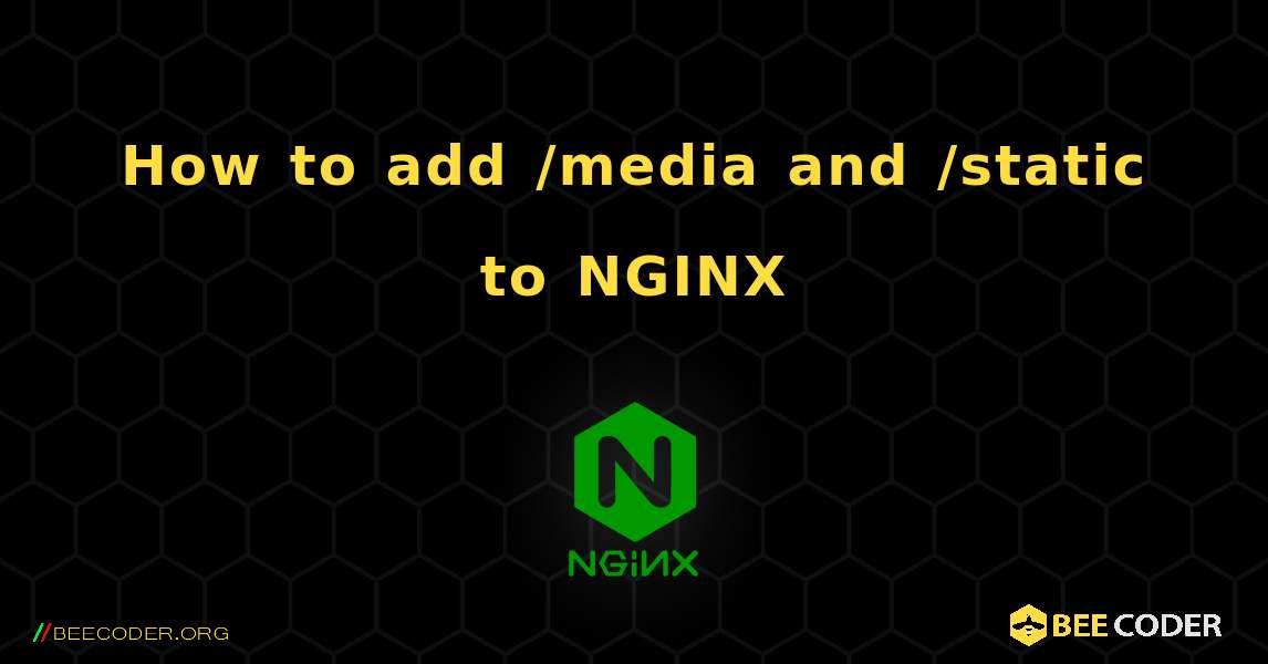 How to add  /media and /static to NGINX. NGINX