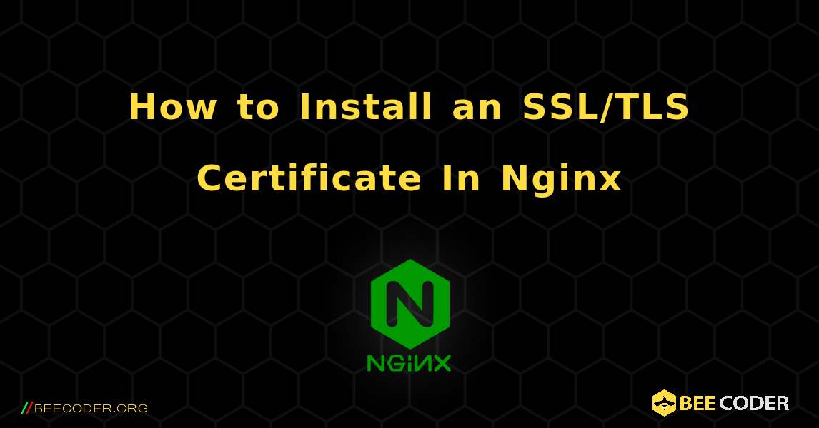 How to Install an SSL/TLS Certificate In Nginx. NGINX