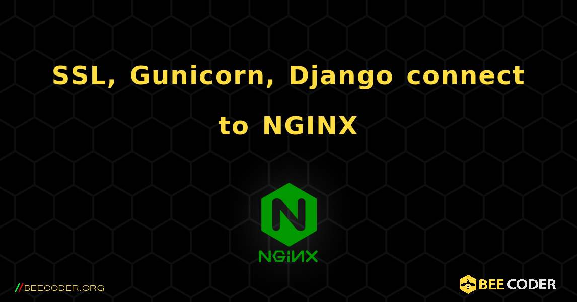 SSL, Gunicorn, Django connect to NGINX. NGINX