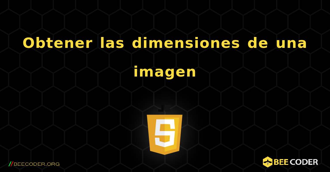 Obtener las dimensiones de una imagen. JavaScript