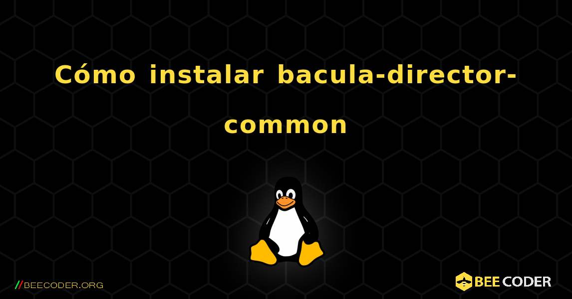 Cómo instalar bacula-director-common . Linux