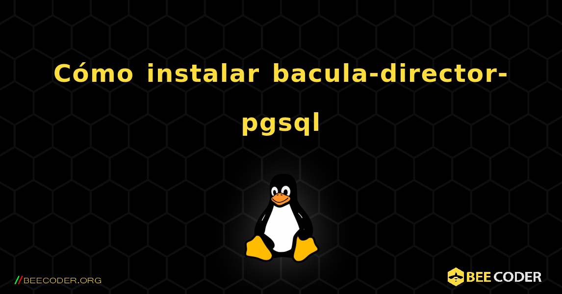 Cómo instalar bacula-director-pgsql . Linux