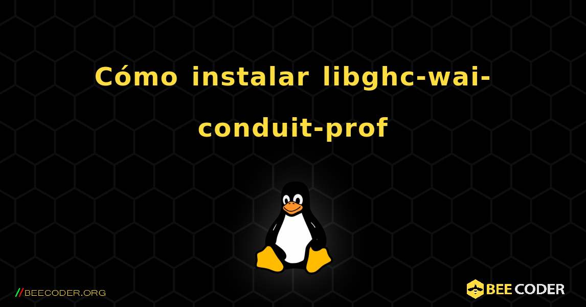 Cómo instalar libghc-wai-conduit-prof . Linux