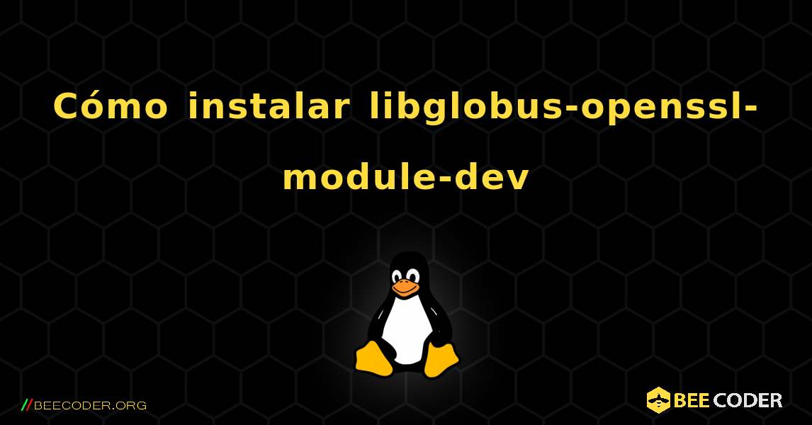 Cómo instalar libglobus-openssl-module-dev . Linux